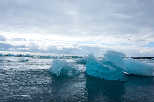 Kry na vodě, Jokulsarlon ledovcové jezero, Island — Stock fotografie