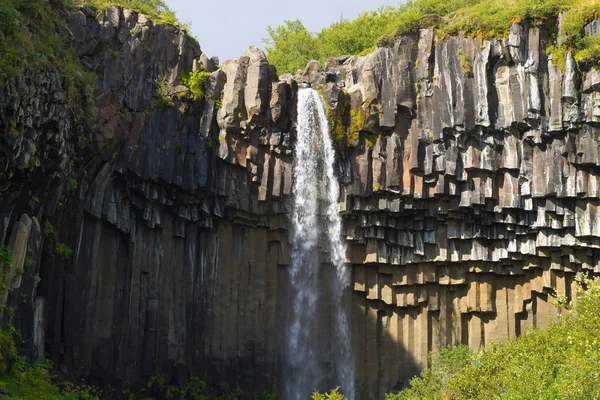 Svartifoss fällt in der Sommersaison Ansicht, Island — Stockfoto