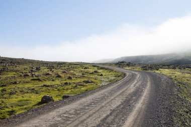 Mjoifjordur kırsal peyzaj, doğu İzlanda. İzlanda panoraması