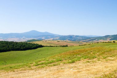 Tuscany hills panorama yaz görünümü, İtalyan peyzaj