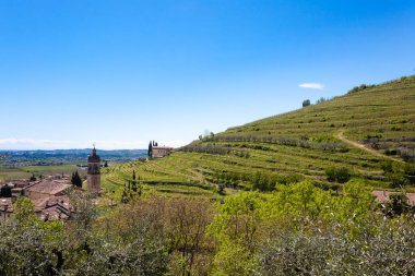 Valpolicella tepeler manzara, İtalyan bağcılık alanı, İtalya