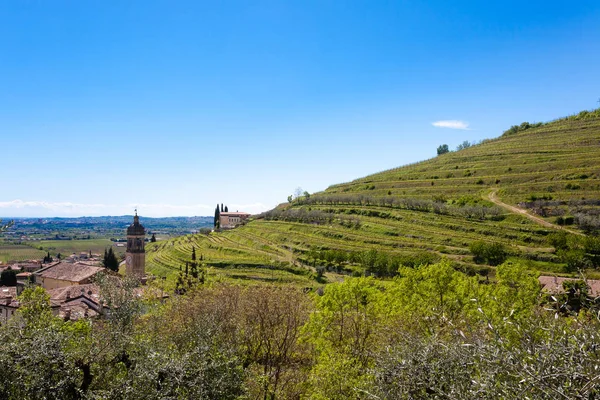 Valpolicella Hills krajobraz, włoski obszar uprawy winorośli, Włochy — Zdjęcie stockowe