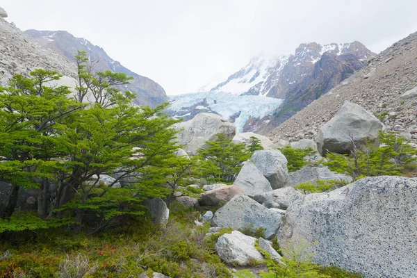 Piedras Blancas Uitzicht op de gletsjer, El Chalten, Patagonië — Stockfoto