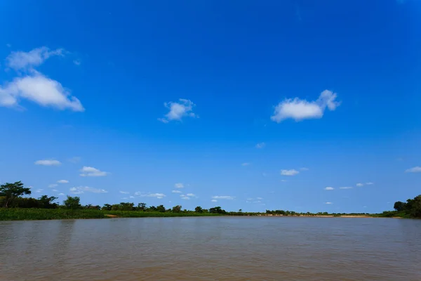 Panorama do Pantanal, região das zonas húmidas brasileiras . — Fotografia de Stock