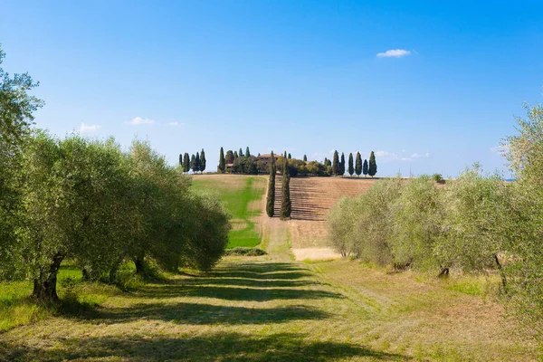 Toskana tepeleri manzarası, İtalya