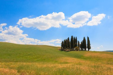 Val d'Orcia selvi görünümü