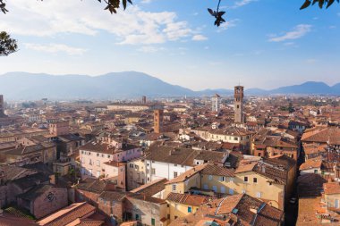 Lucca görünümü Guinigi Tower.