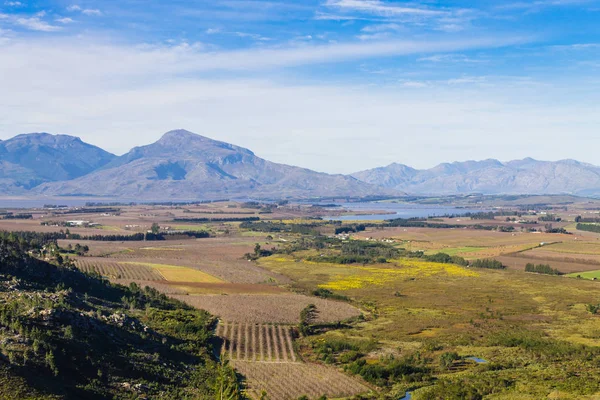 Franschhoek wijngaard landschap, Zuid-Afrika panorama — Stockfoto