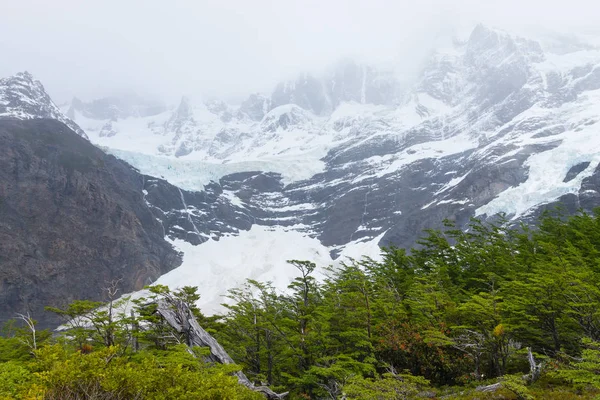 Uitzicht op de Franse vallei, Torres del Paine, Chili — Stockfoto