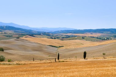 Arka plan eğrileri. Tuscany hills yaz manzara