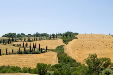 Tuscany hills panorama yaz görünümü, İtalyan peyzaj