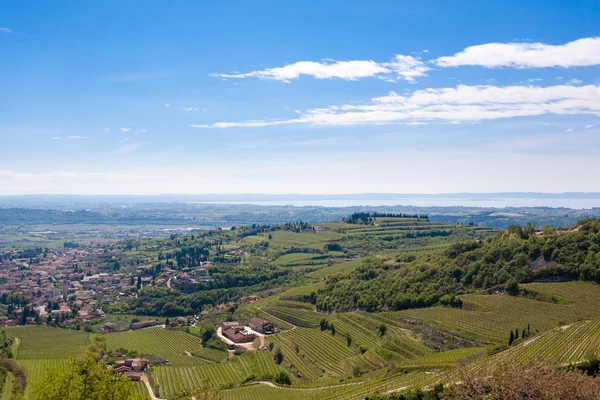 Valpolicella Hills krajobraz, włoski obszar uprawy winorośli, Włochy — Zdjęcie stockowe