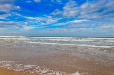 Addo Elephant Milli Park deniz alan manzara, Güney Afrika