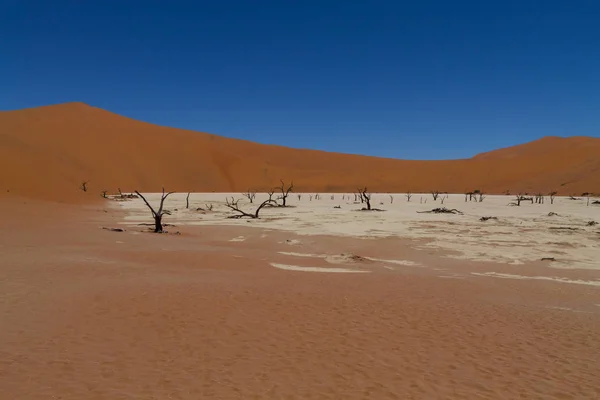 Ölü Vlei, Sossusvlei, Namibya — Stok fotoğraf