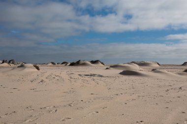 İskelet sahil panorama