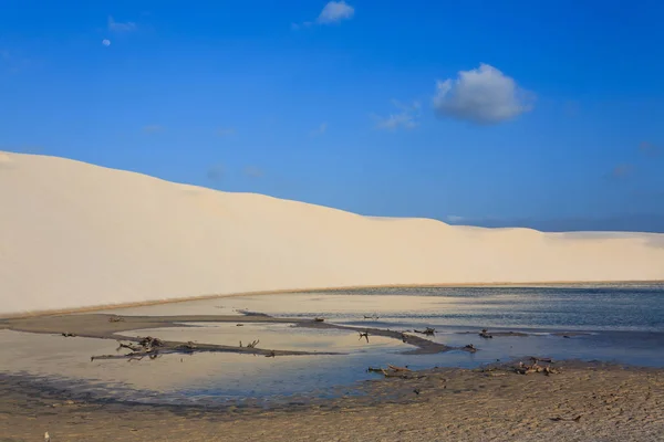 Panorama des dunes de sable blanc du parc national Lencois Maranhenses — Photo