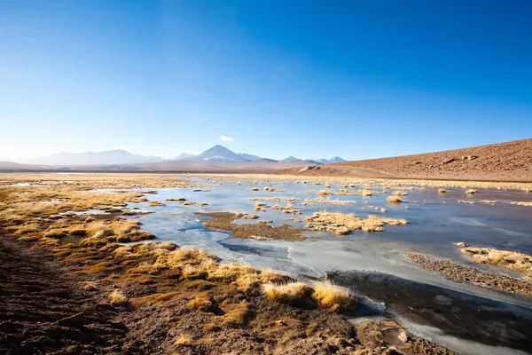 Paisagem da lagoa chilena, Chile — Fotografia de Stock
