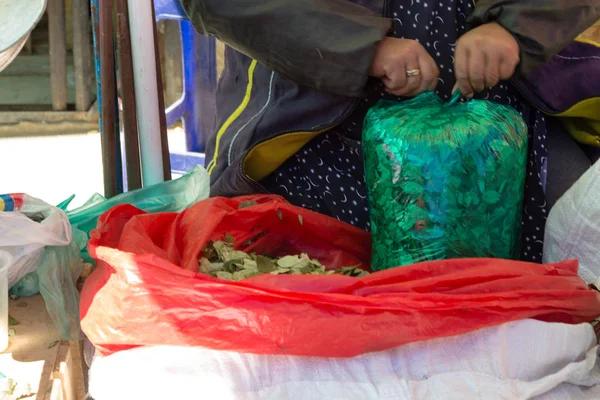 Bag of coca leafs, Bolivia traditional market — Stock Photo, Image