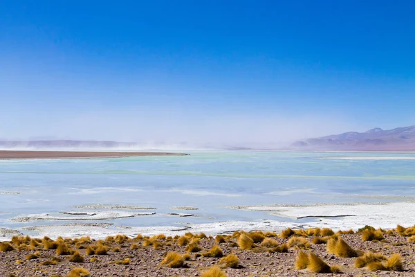 Paisaje laguna boliviana, Bolivia — Foto de Stock