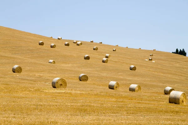 Olasz vidéki panorámával. A búzamező forduló bales — Stock Fotó