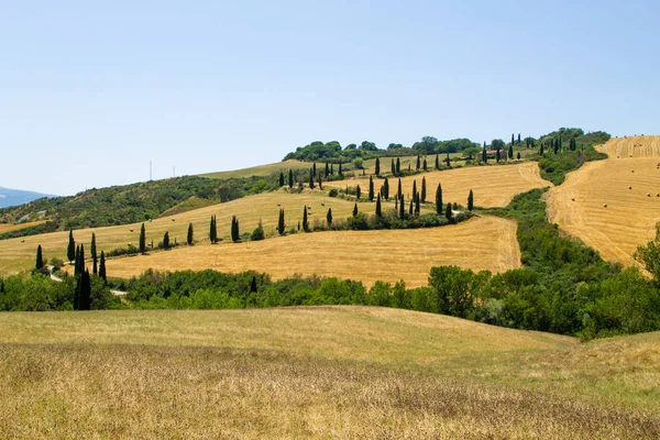 Panorama delle colline toscane vista estate, paesaggio italiano — Foto Stock