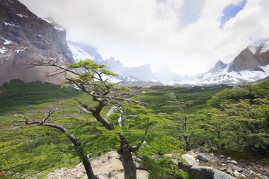 French Valley landscape, Torres del Paine, Chile clipart