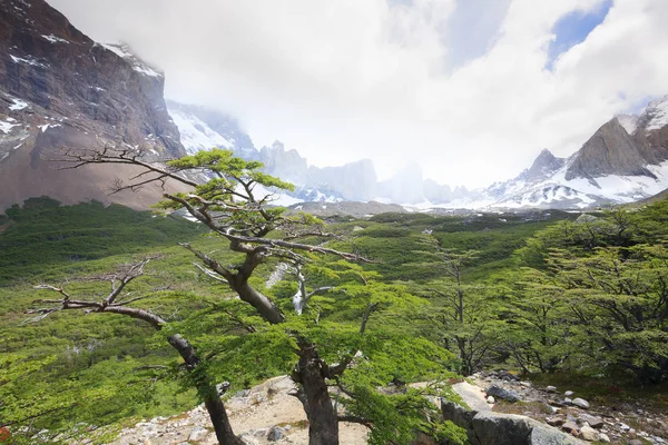 Francouzská údolí krajina, Torres del Paine, Chile — Stock fotografie