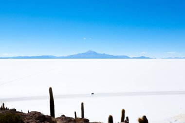Salar de Uyuni view from Isla Incahuasi