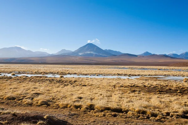 Chilean lagoon landscape, Chile — Stock Photo, Image