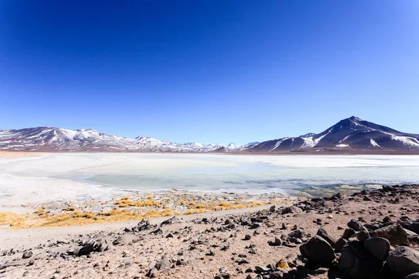 Laguna Blanca manzara, Bolivya — Stok fotoğraf