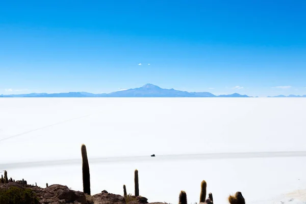 Salar de Uyuni view from Isla Incahuasi — Stockfoto