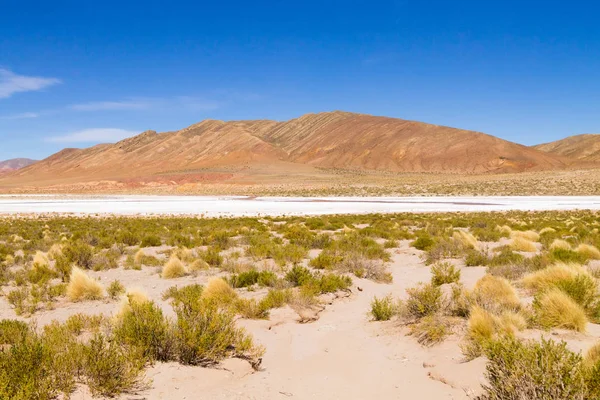 Montañas bolivianas paisaje, Bolivia — Foto de Stock