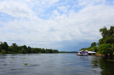 Amazonas Nehri boyunca evleri. Brezilyalı panorama