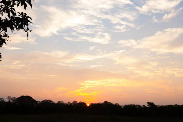 Δύση του ηλίου από Pantanal, Βραζιλία — Φωτογραφία Αρχείου