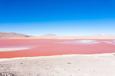 Laguna Colorada görünümü, Bolivya