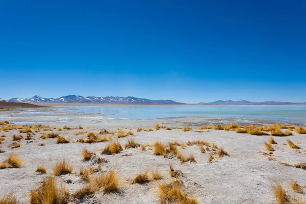 Bolivianische Lagunenlandschaft, Bolivien — Stockfoto
