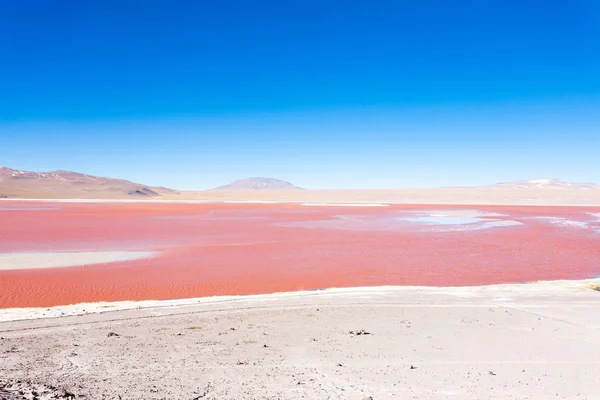 Laguna Κολοράντα προβολή, Βολιβία — Φωτογραφία Αρχείου