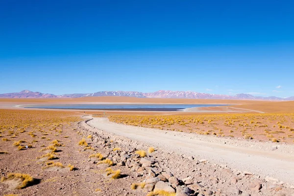 Болівійський видом на лагуну, Болівія — стокове фото