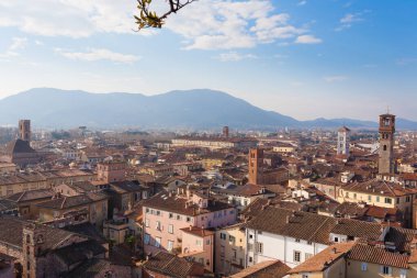 Lucca görünümü Guinigi Tower.