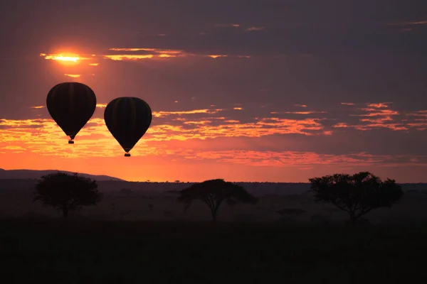 Dawn Serengeti National Park Tanzania Afrika Varmluftsballonger Himlen Afrikanskt Panorama — Stockfoto