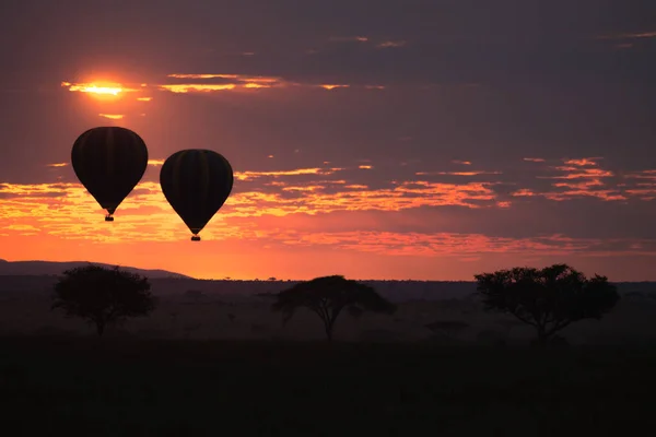 Dawn Serengeti National Park Tanzania Africa Hot Air Balloons Sky Royalty Free Stock Images