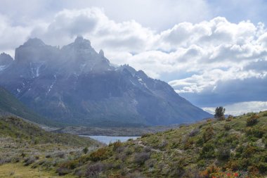 Pehoe Gölü manzaralı, Torres del Paine Ulusal Parkı, Şili. Şili Patagonya manzarası
