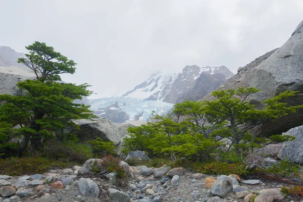 Piedras Blancas Uitzicht Gletsjer Nationaal Park Los Glaciares Chalten Patagonië — Stockfoto