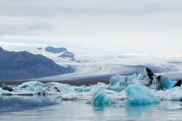 Lago Glacial Jokulsarlon Islandia Icebergs Flotando Agua Islandia Paisaje —  Fotos de Stock