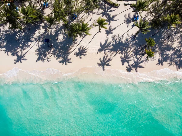 Dominik Cumhuriyeti 'nin Saona adasındaki Karayip Denizi' nde palmiye ağaçları, beyaz kum ve mavi su gölü olan cennetin insansız hava aracı manzarası.
