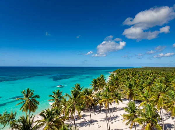 Aerial Drone View Paradise Beach Palm Trees White Sand Blue — Stock Photo, Image