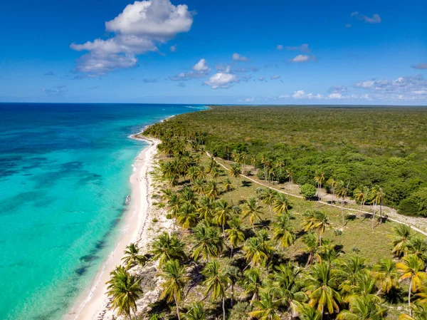 도미니카 공화국 사우나 카리브 카리브 모래와 물웅덩이가 해변을 수있다 — 스톡 사진