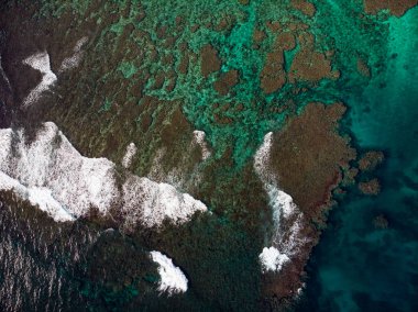 Saona Adası, Dominik Cumhuriyeti yakınlarındaki Karayip Denizi ve mercan resiflerinin saydam sularının hava aracı görüntüsü.