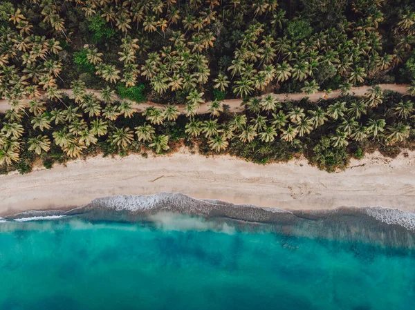 Aerial Drone View Paradise Beach Palm Trees Blue Water Esmeralda — Stock Photo, Image