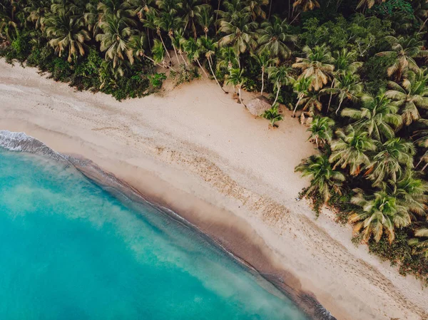 Aerial Drone View Paradise Beach Palm Trees Blue Waters Esmeralda — Φωτογραφία Αρχείου